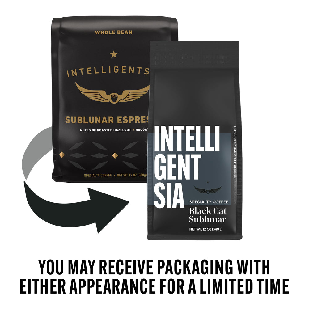 Pour-over setup with Intelligentsia Sublunar for a deep, chocolatey profile.