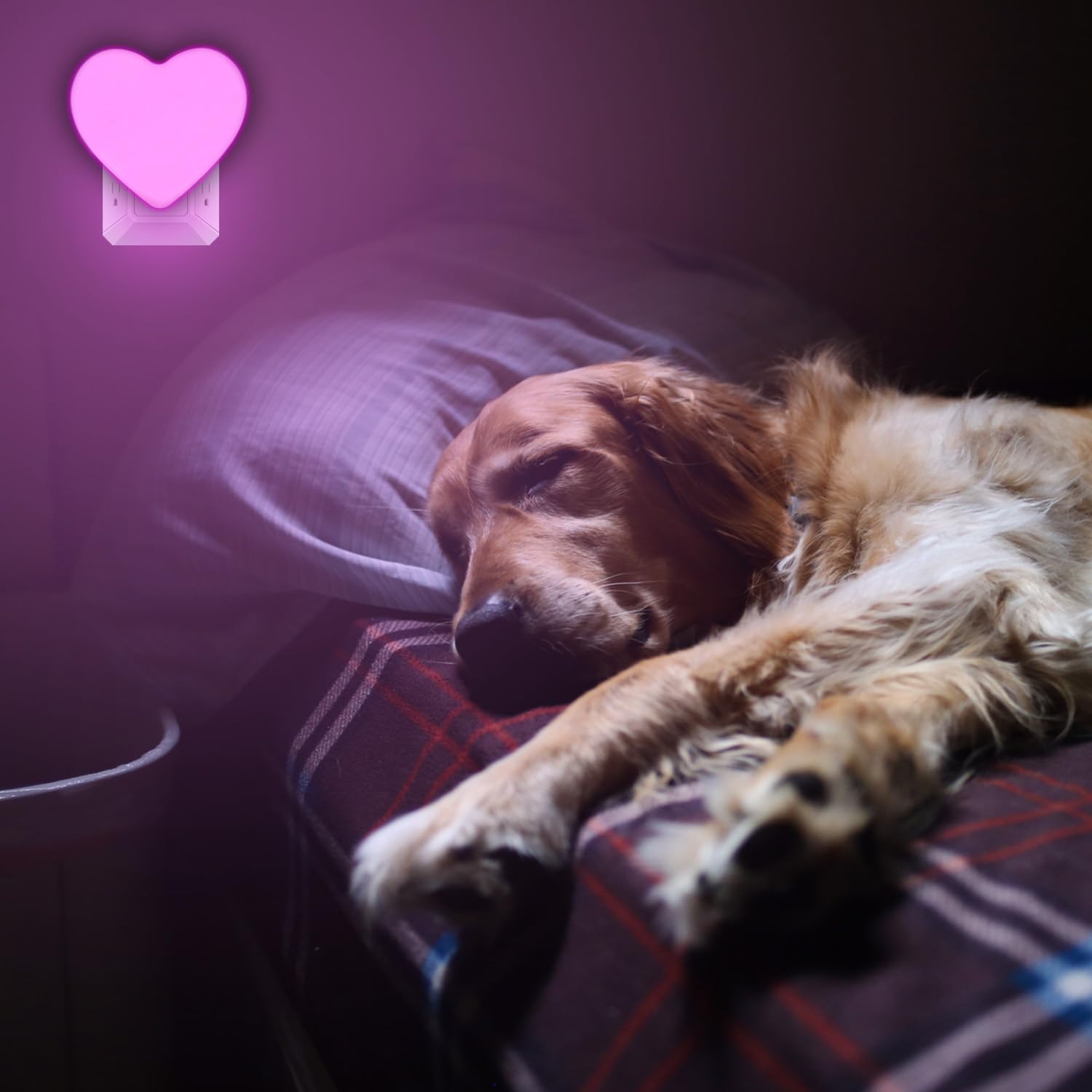 INZU pink night light blends with decor and supports safe nighttime routines