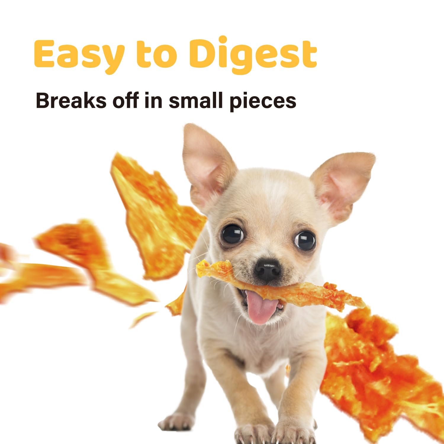 IPaw Turkey Tendon dog chewing action showing real-time use.