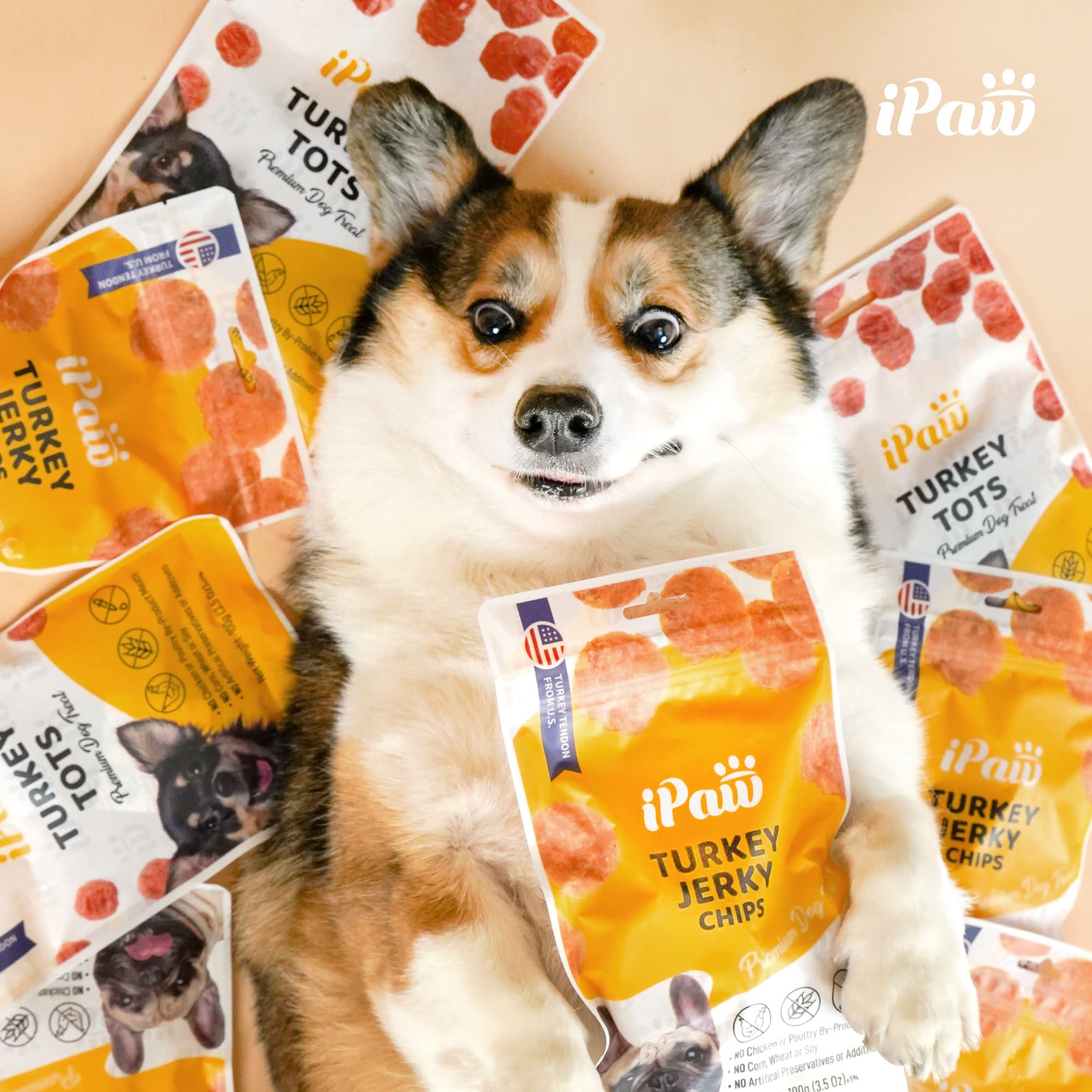 iPaw Turkey Tots: idéal pour les chiots et les petites races lors des exercices.