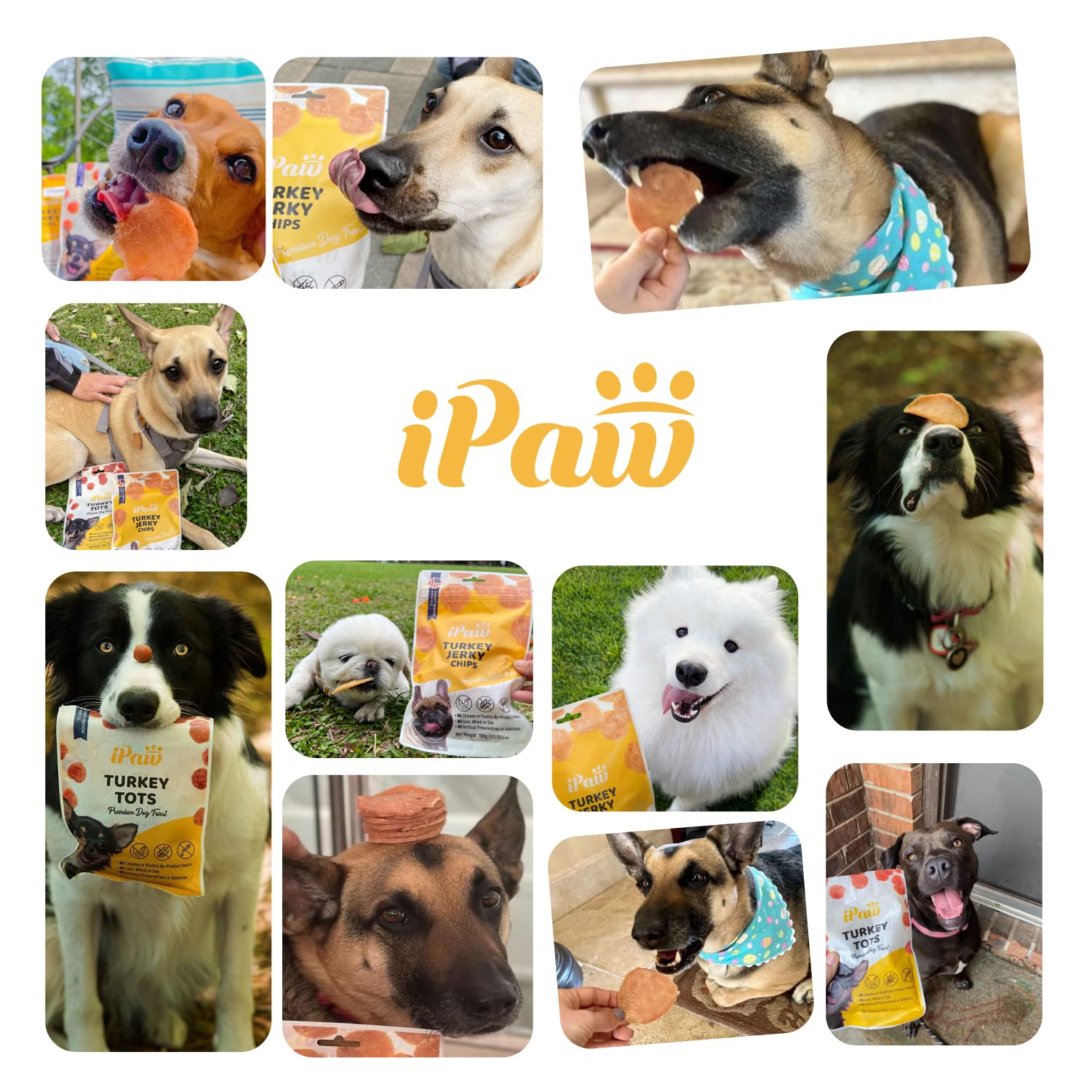 iPaw Turkey Tots: arôme séduisant et récompense pratique au quotidien.