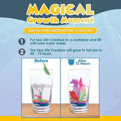 IPIDIPI TOYS shark grows in water, stimulates imaginative ocean play