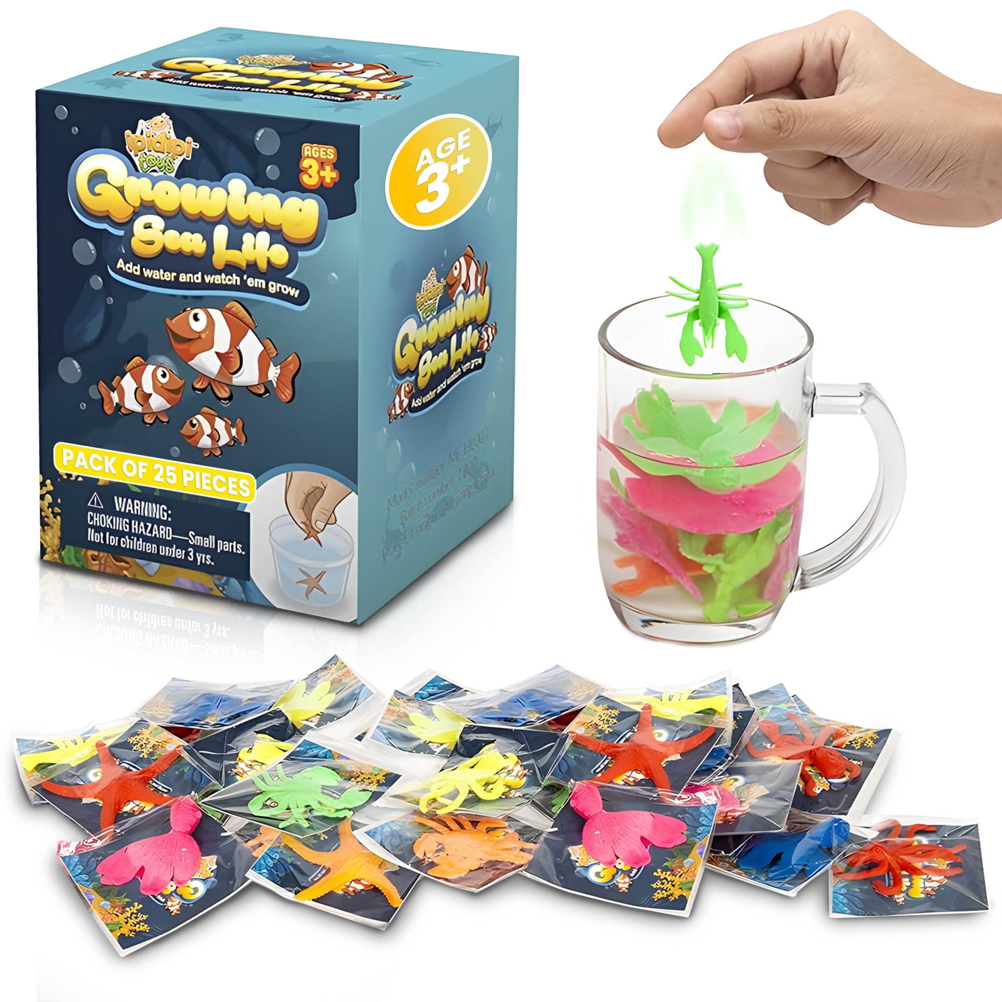 IPIDIPI TOYS sea turtle grows in water, ideal for hands-on learning