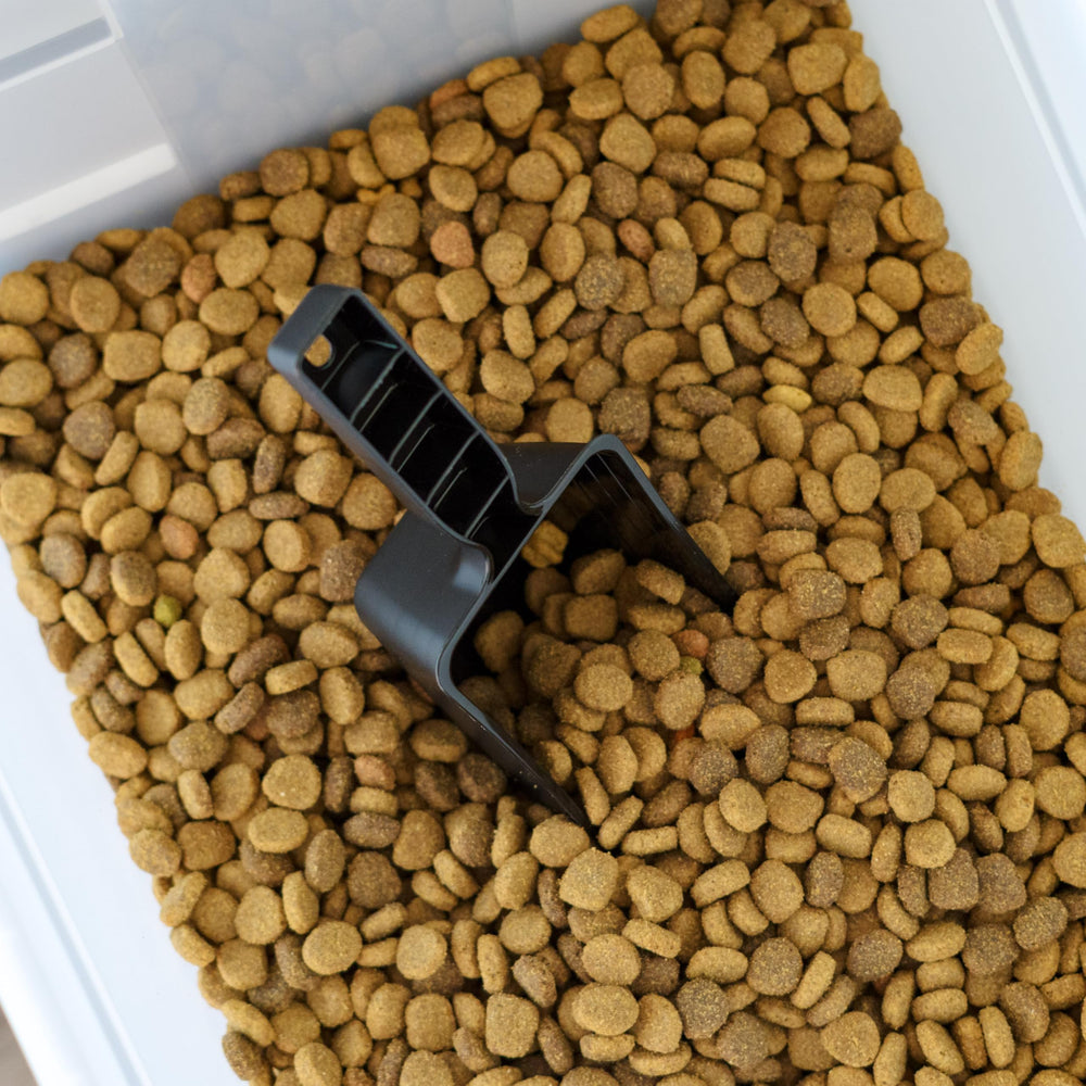 IRIS USA BPA-free material keeps pet food safe.