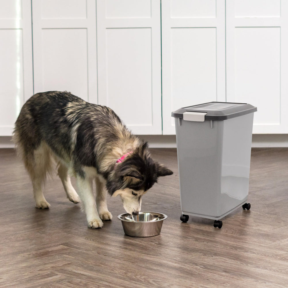IRIS USA storage container promotes pantry organization and quick access during busy routines.