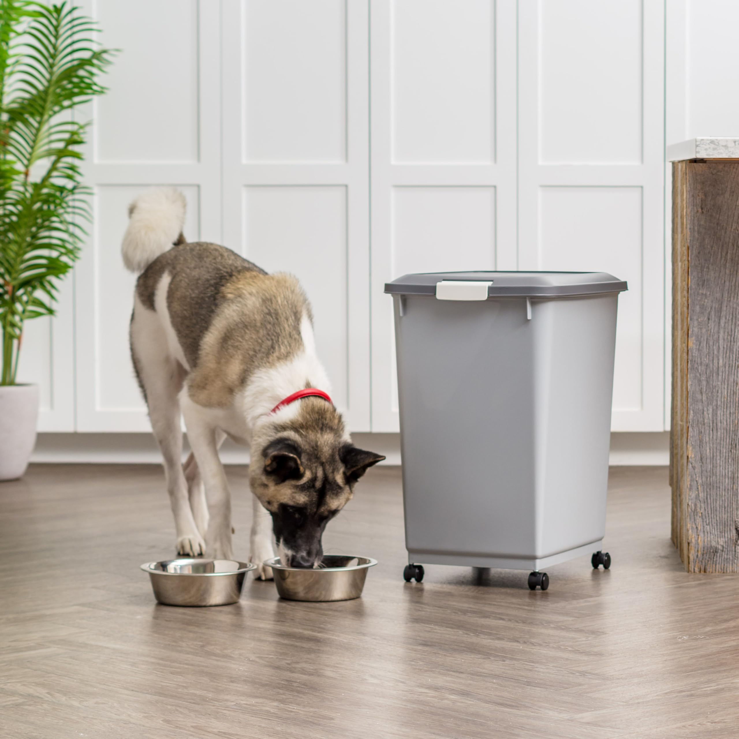IRIS USA wheels offer smooth mobility between pantry and feeding area.