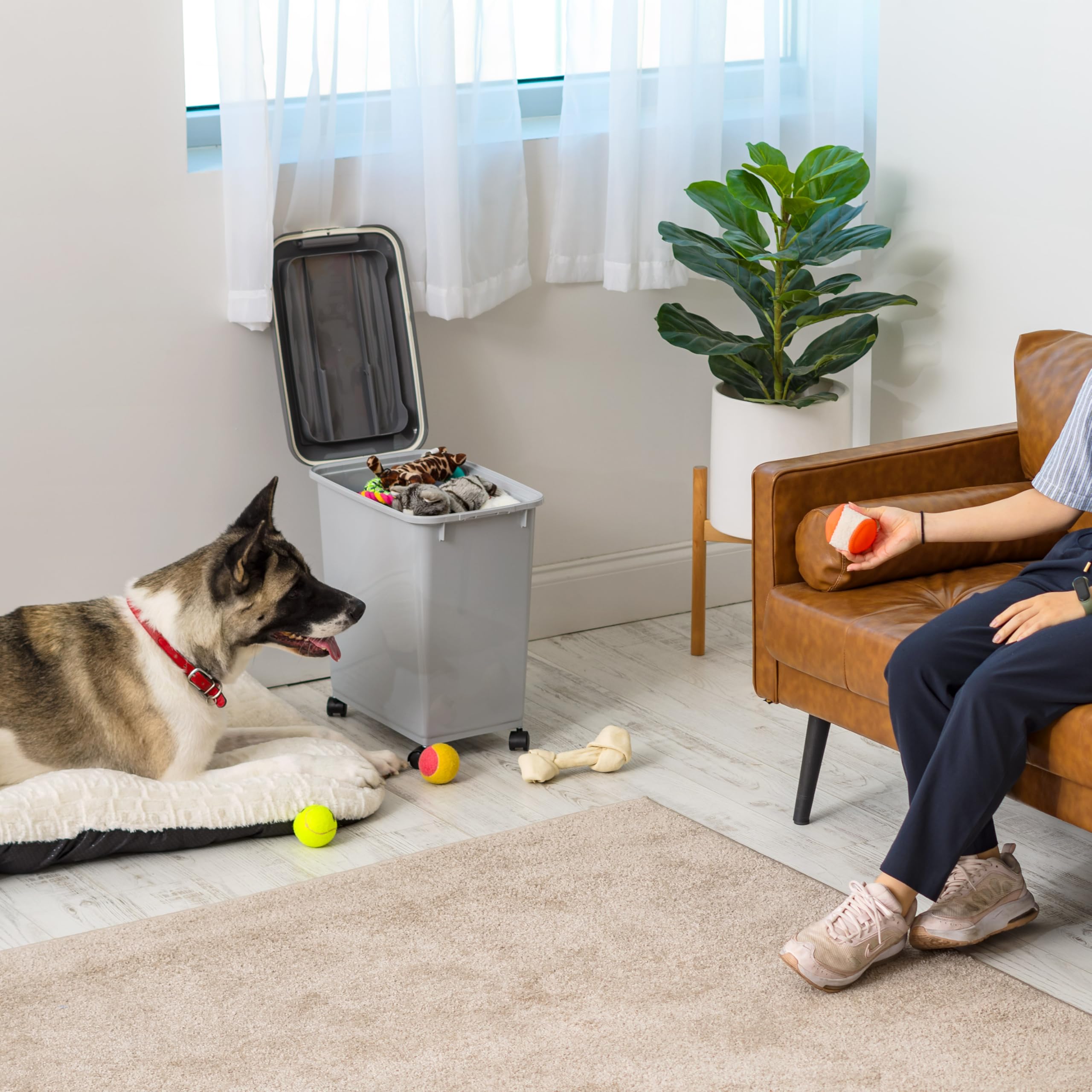 IRIS USA portable bin that moves from storage to feeding area.