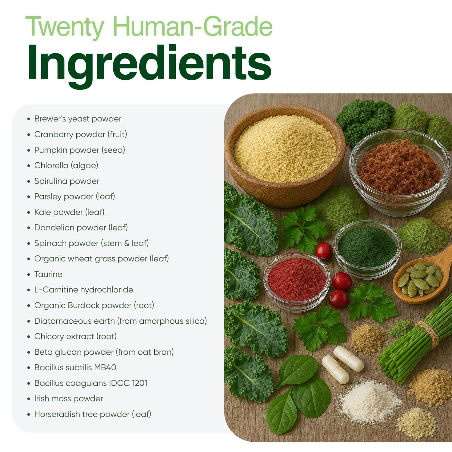Iron Paws greens-powder-dog-serving image shows easy daily serving.