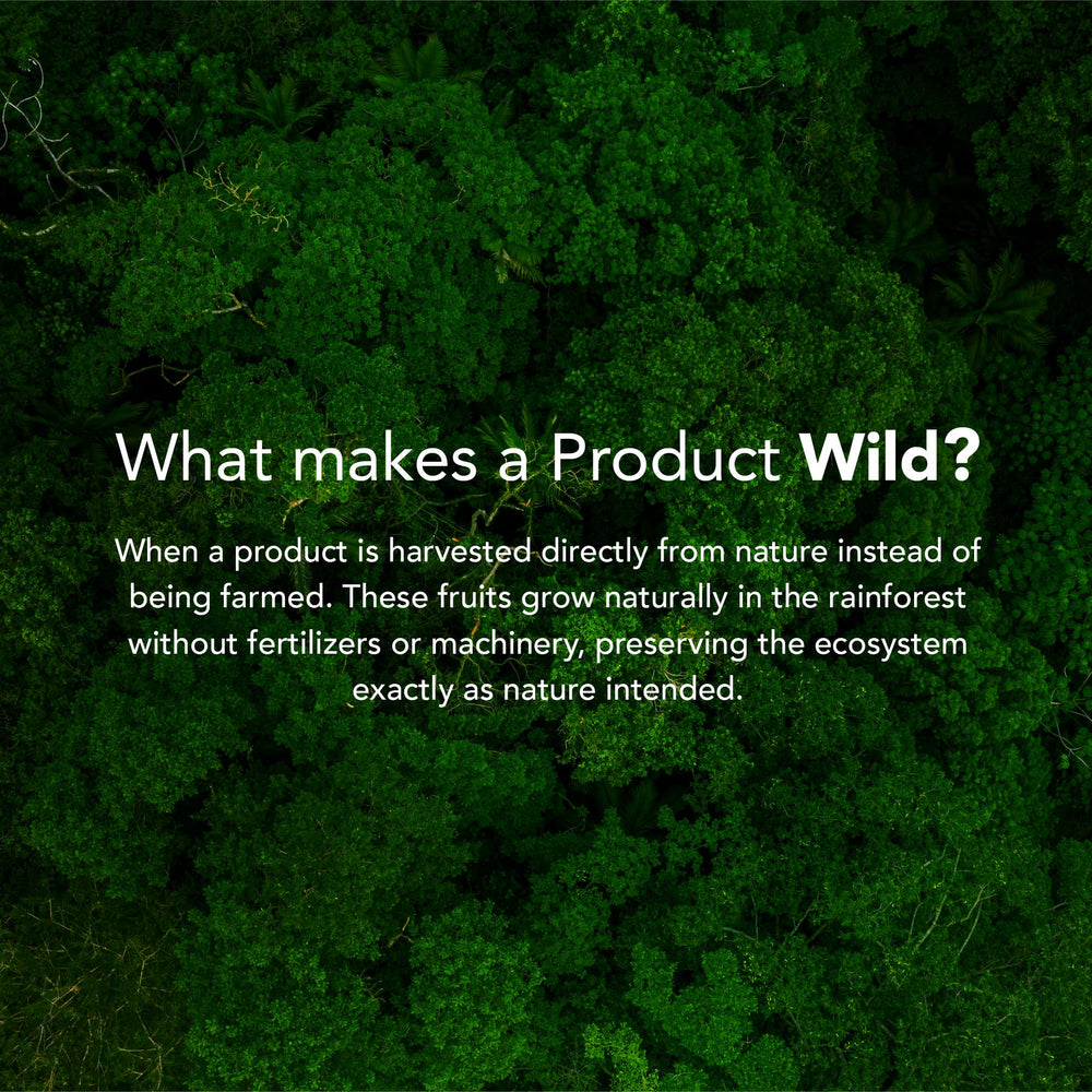 It's Good Energy Amazon habitat image shows sustainable harvesting protecting biodiversity.