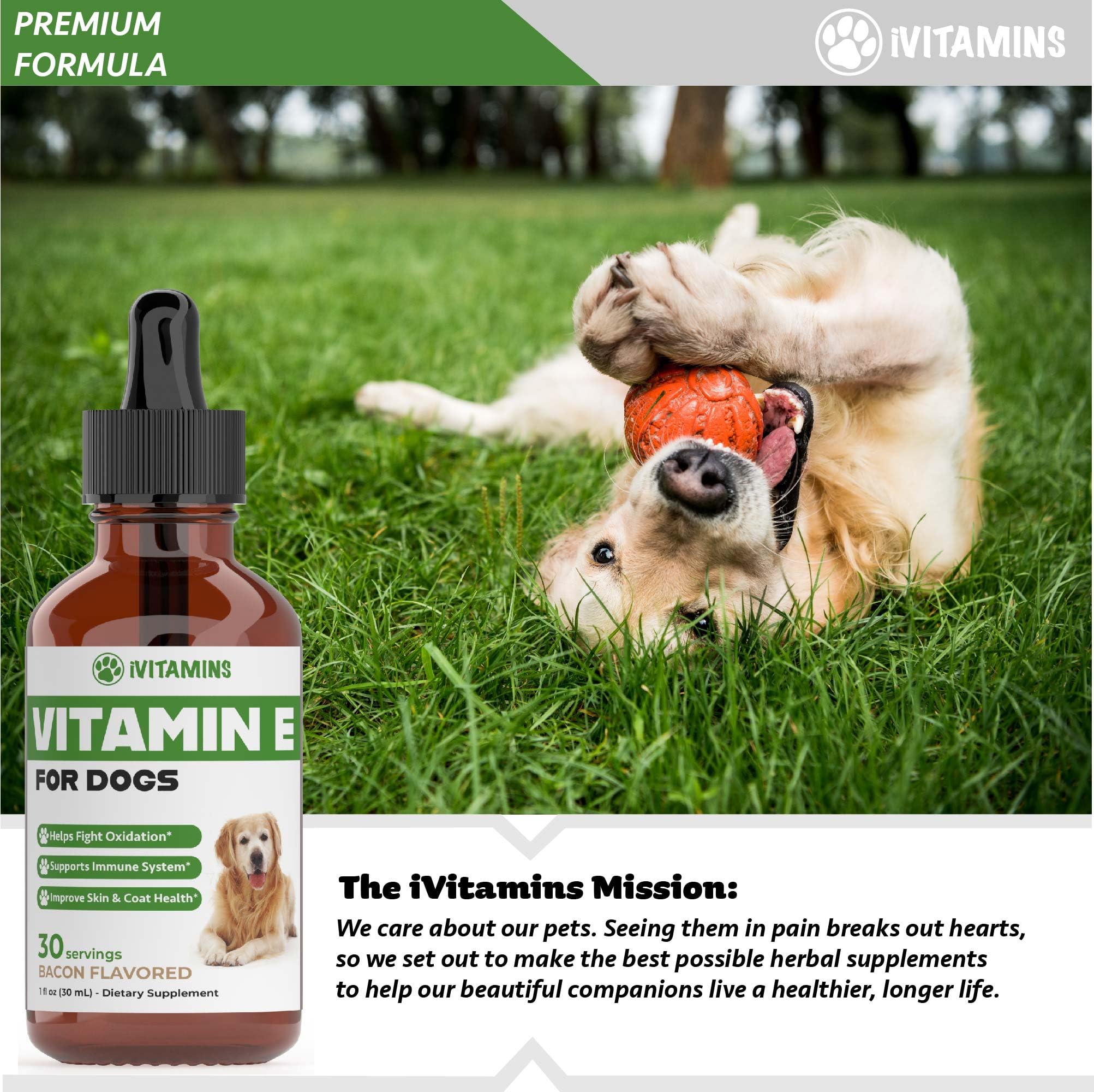 iVitamins Vitamin E for Dogs package laid out for daily dosing routine