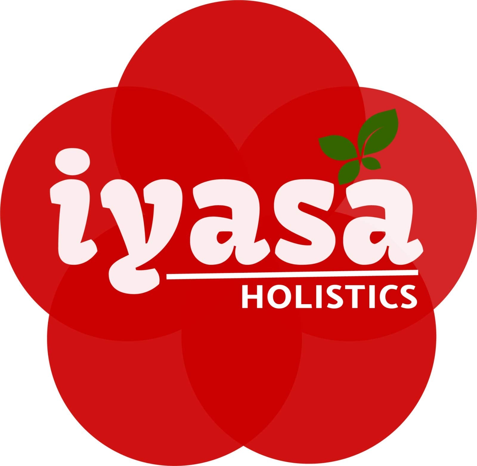 Iyasa Holistics moringa powder dispensing tub for easy everyday use.