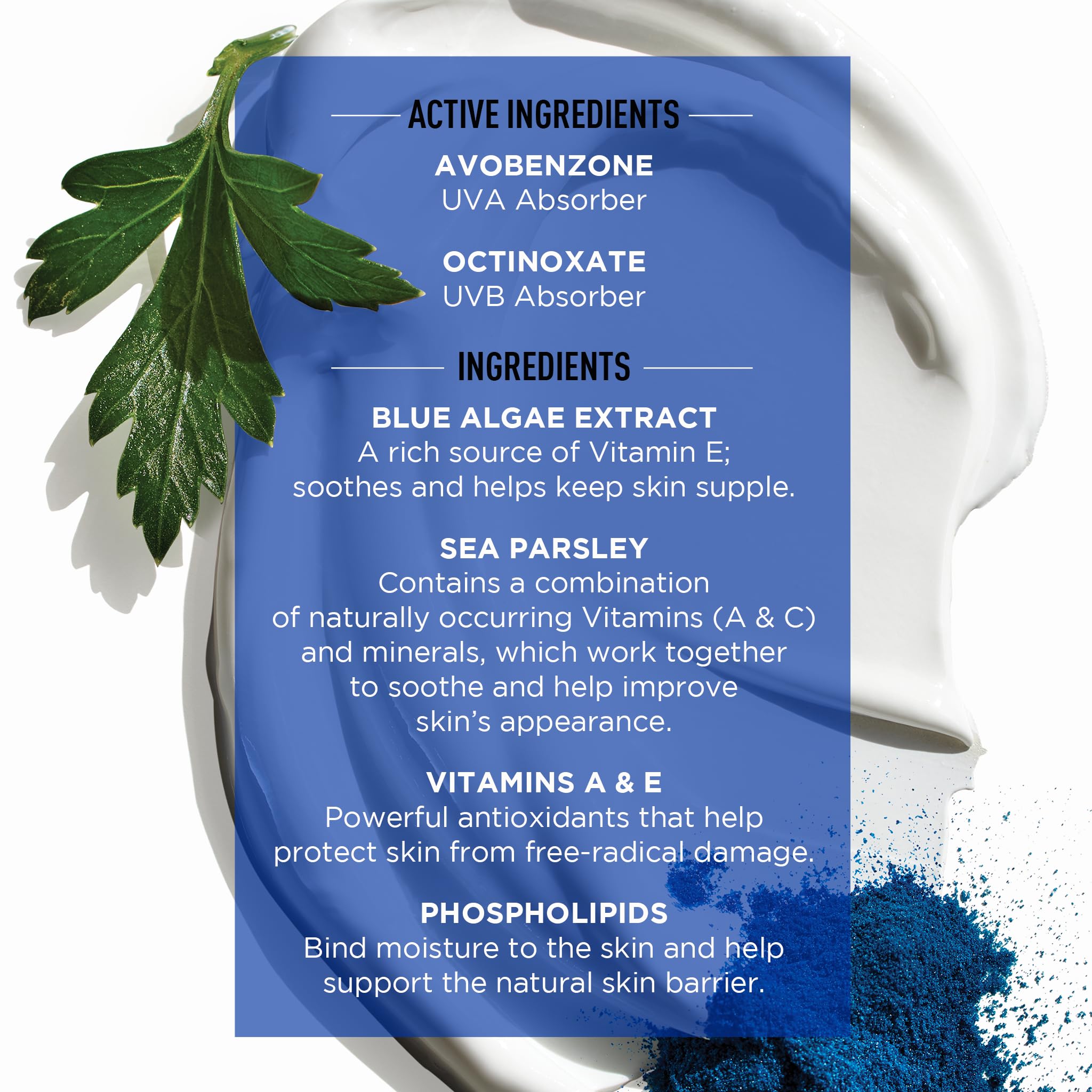 Jack Black sea parsley ingredient image showcasing vitamins A and C.