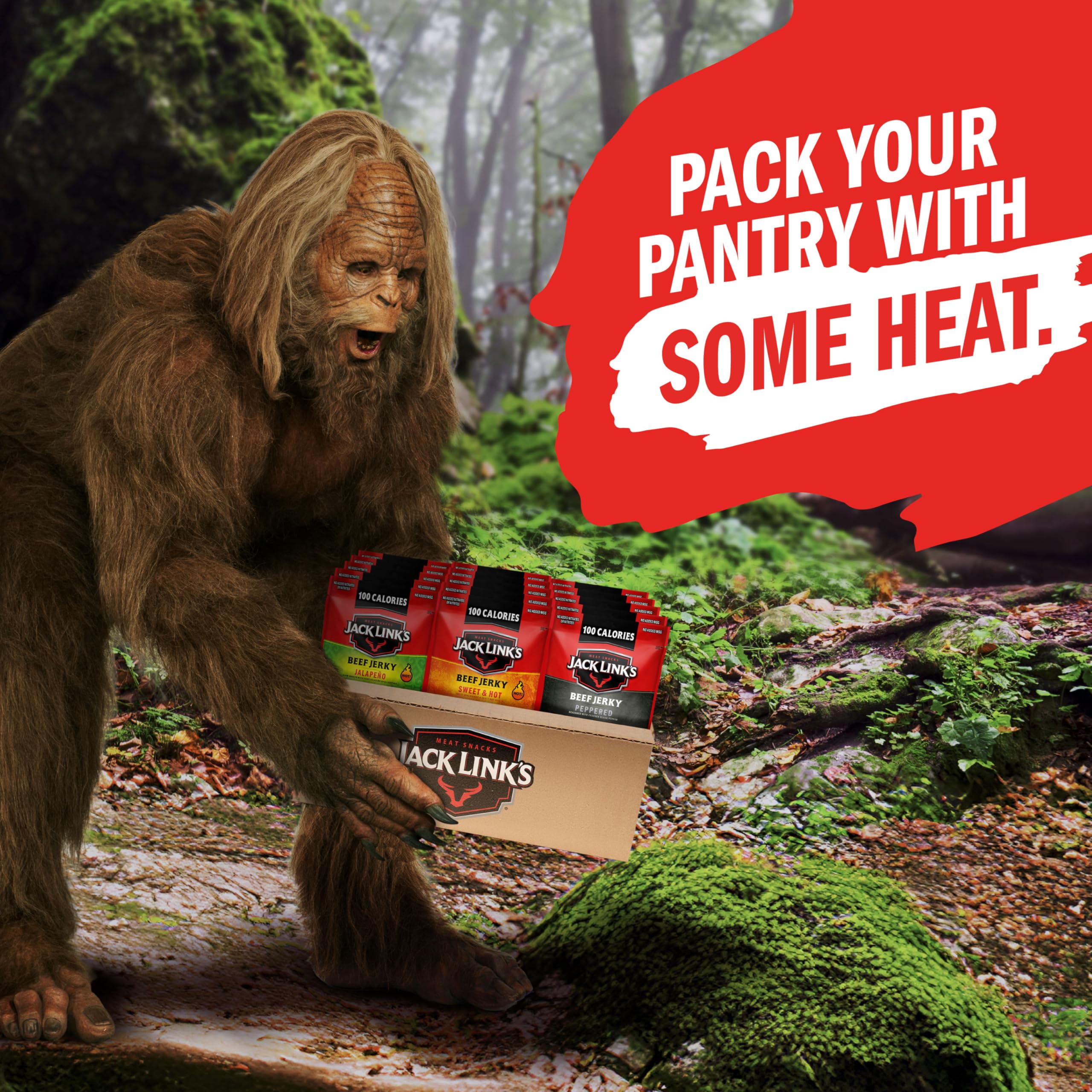 Slow-smoked hardwood flavor profile captured in Jack Link's jerky.