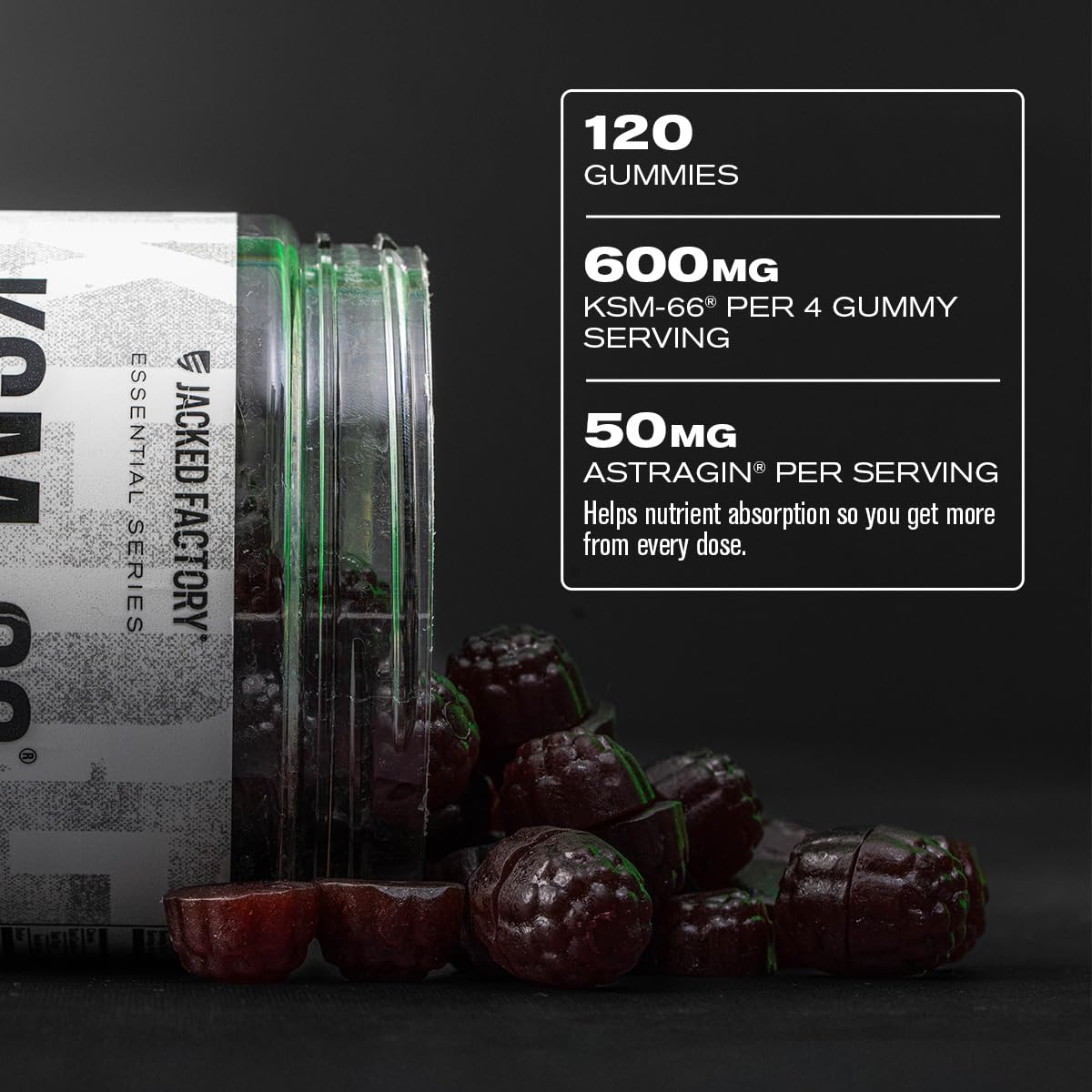 Jacked Factory Ashwagandha Gummies bottle with dramatic lighting emphasizes premium absorption