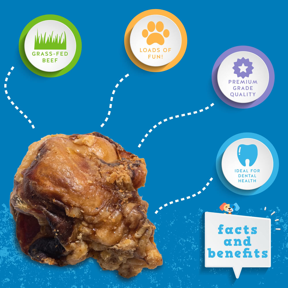 Jack&amp;Pup long-lasting chew close-up emphasizing savory flavor and extended enjoyment