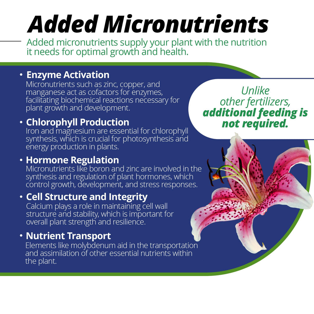 Root feeding with Jack's Classic 20-20-20 supports healthy root growth.