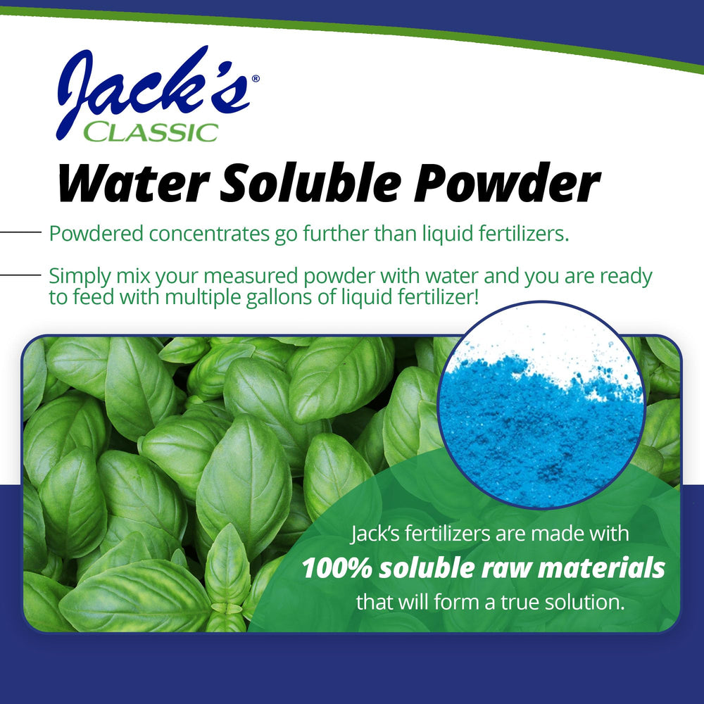 Jack's Classic measuring spoon ensures accurate dosing for consistent feeding.