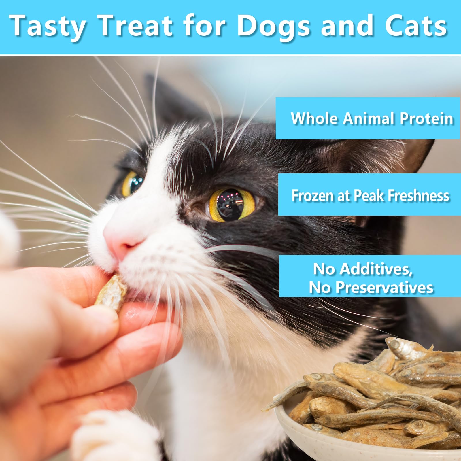 JADINGSFARM Minnows dogs cats treats – natural flavor without additives.