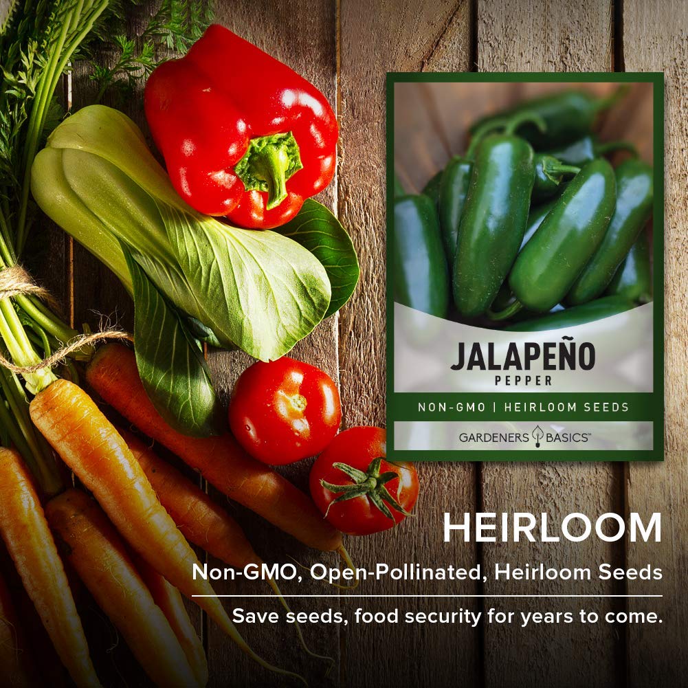 Gardeners Basics jalapeno peppers for fresh, pickled, or dried uses.