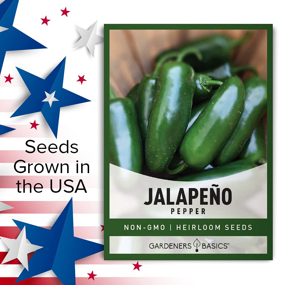 Gardeners Basics jalapeno plants ready for outdoor transplants after frost.