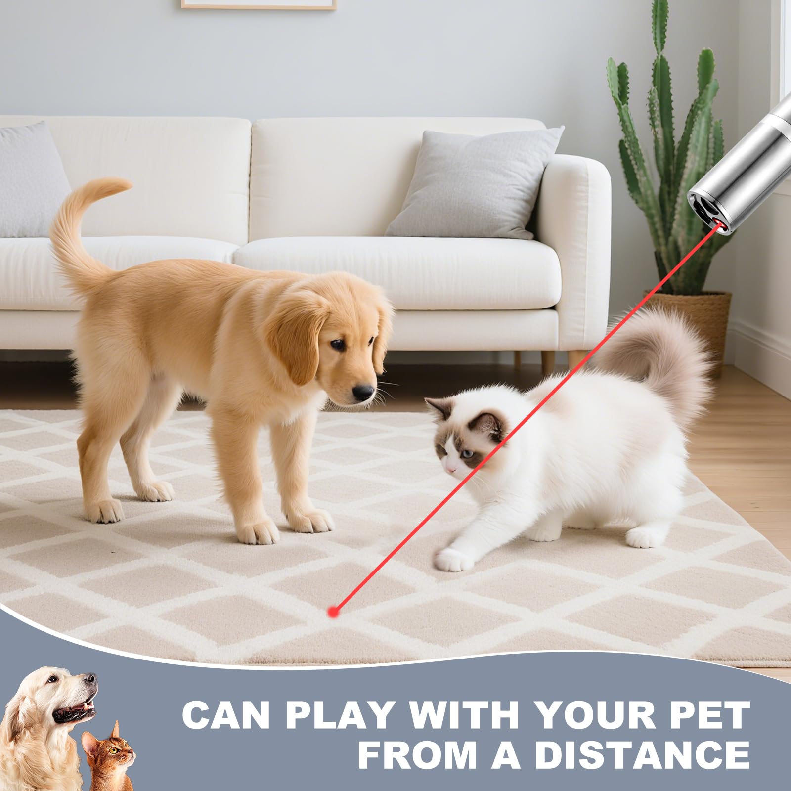 JANHER Laser Pointer is suitable for cats, dogs, and birds.