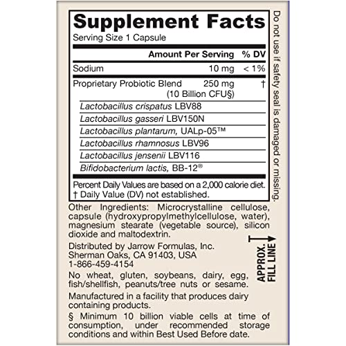Women’s probiotic visual focusing on gut and vaginal health