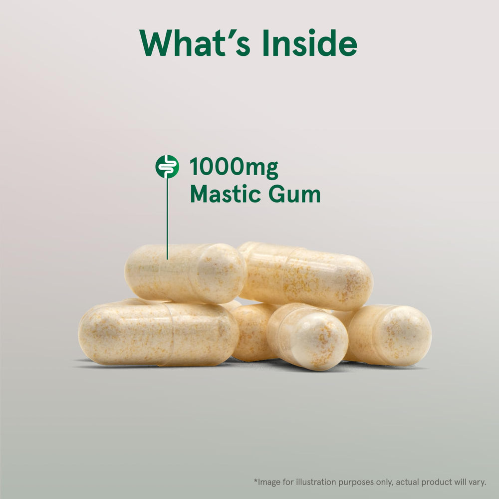 Label details showing 1000 mg per serving of Mastic Gum