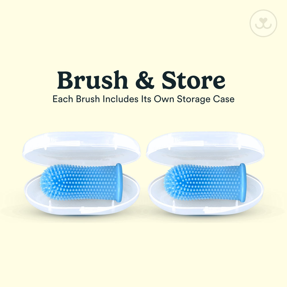 Jasper dog-friendly brush feel encourages calmer brushing sessions.