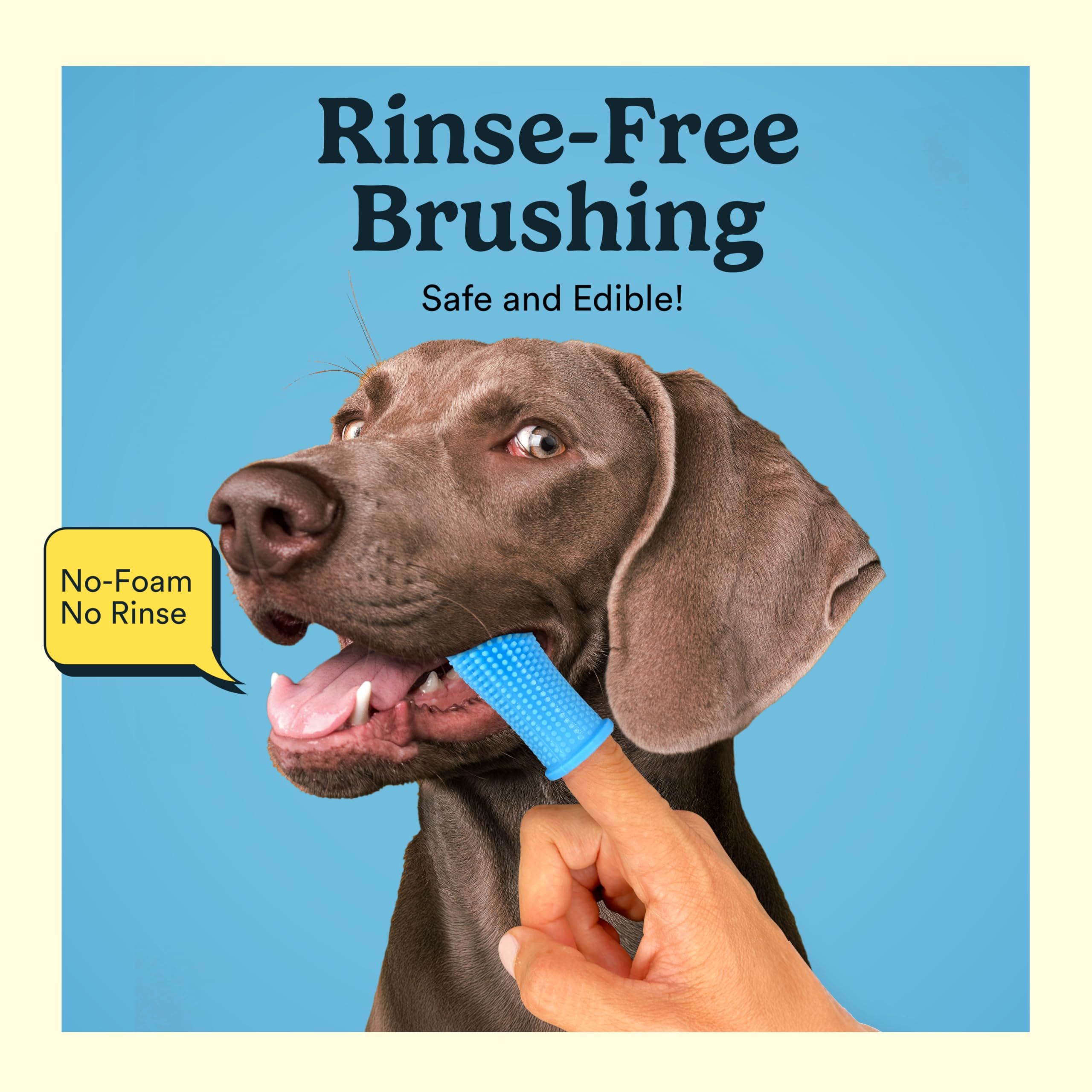 Jasper Dog Toothpaste calendula hemp seed oil soothes gums