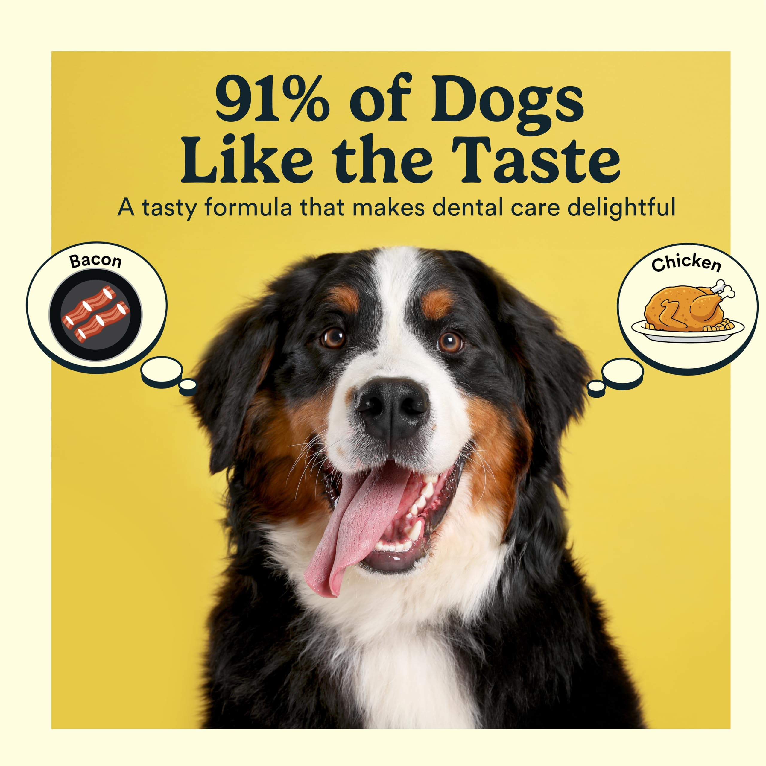Jasper Dog Toothpaste label close-up highlighting enzymes and ingredients