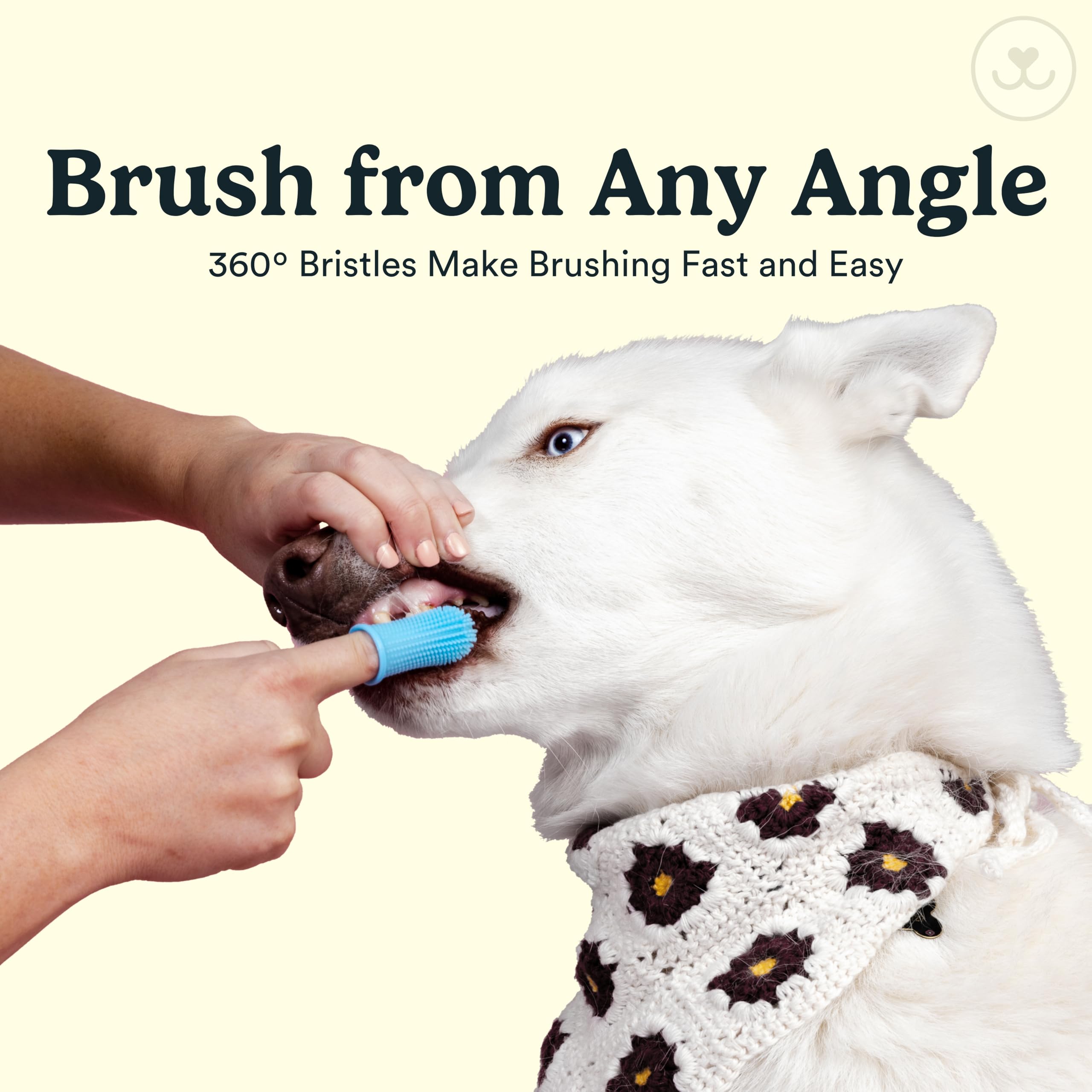 Jasper ultra-soft silicone bristles protect sensitive gums during brushing.