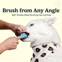 Jasper ultra-soft silicone bristles protect sensitive gums during brushing.