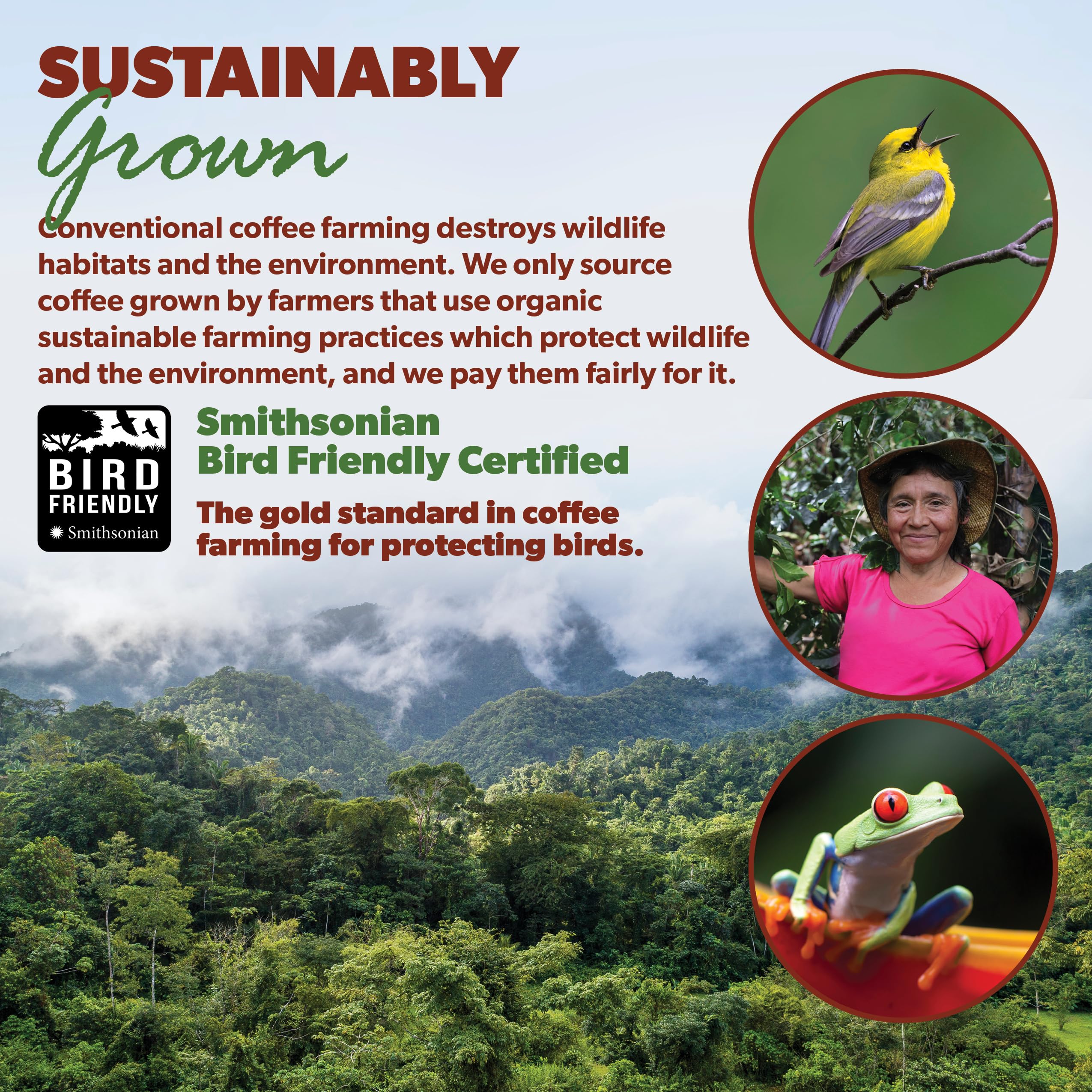 Java Planet family-owned brand logo conveying trusted quality.