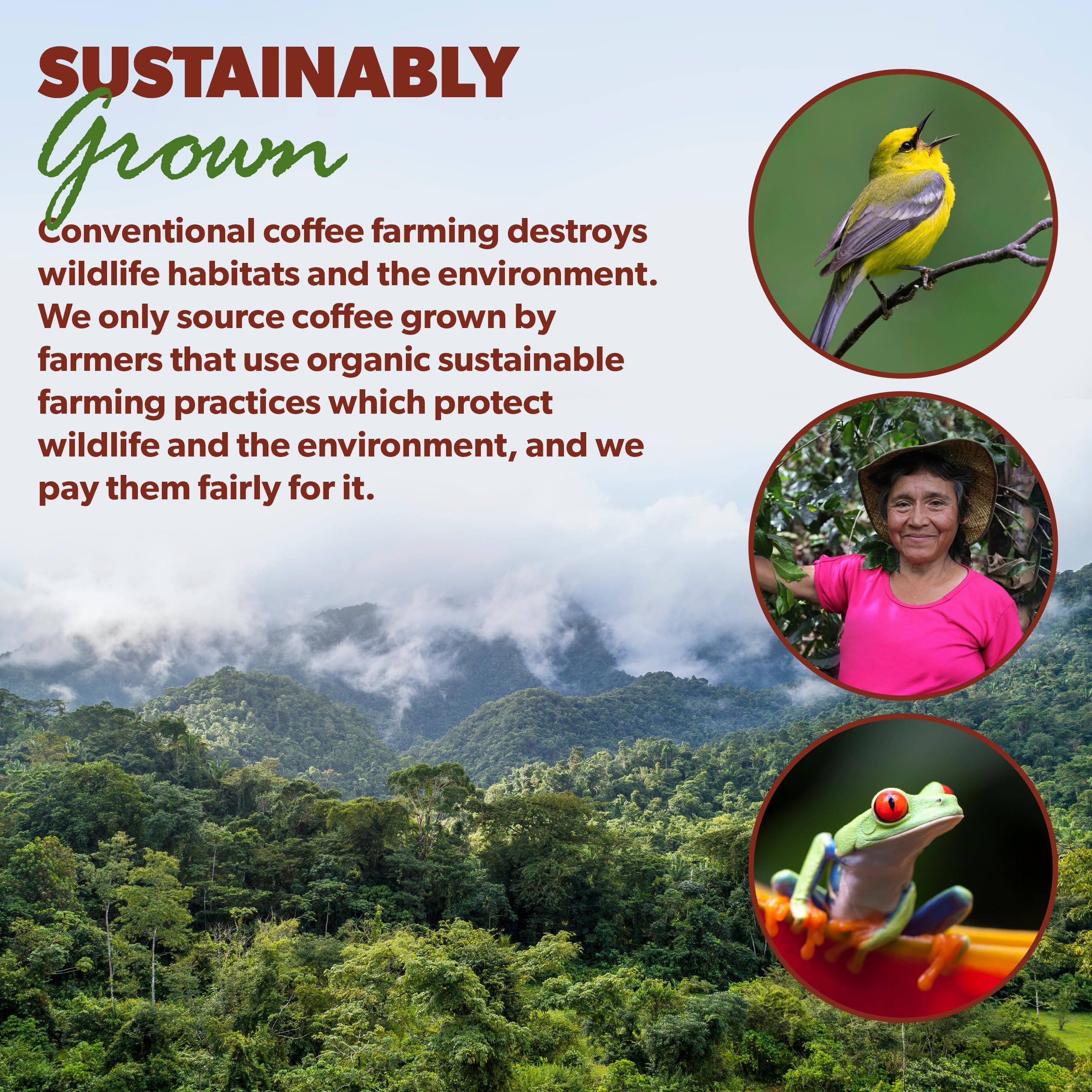 Java Planet family-owned brand reflecting care and quality