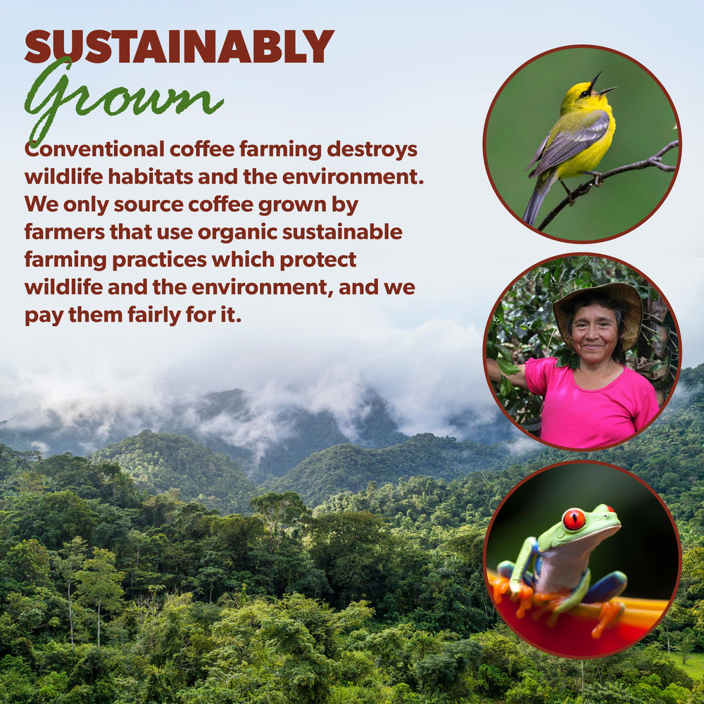 Java Planet family-owned brand reflecting care and quality