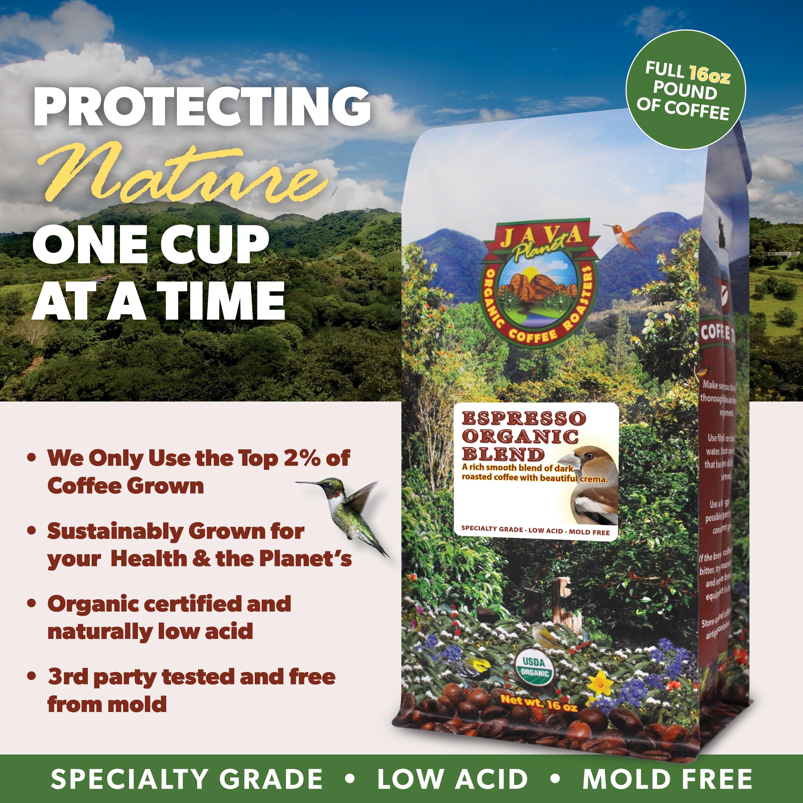 Java Planet high-altitude beans offering natural antioxidants and bright notes