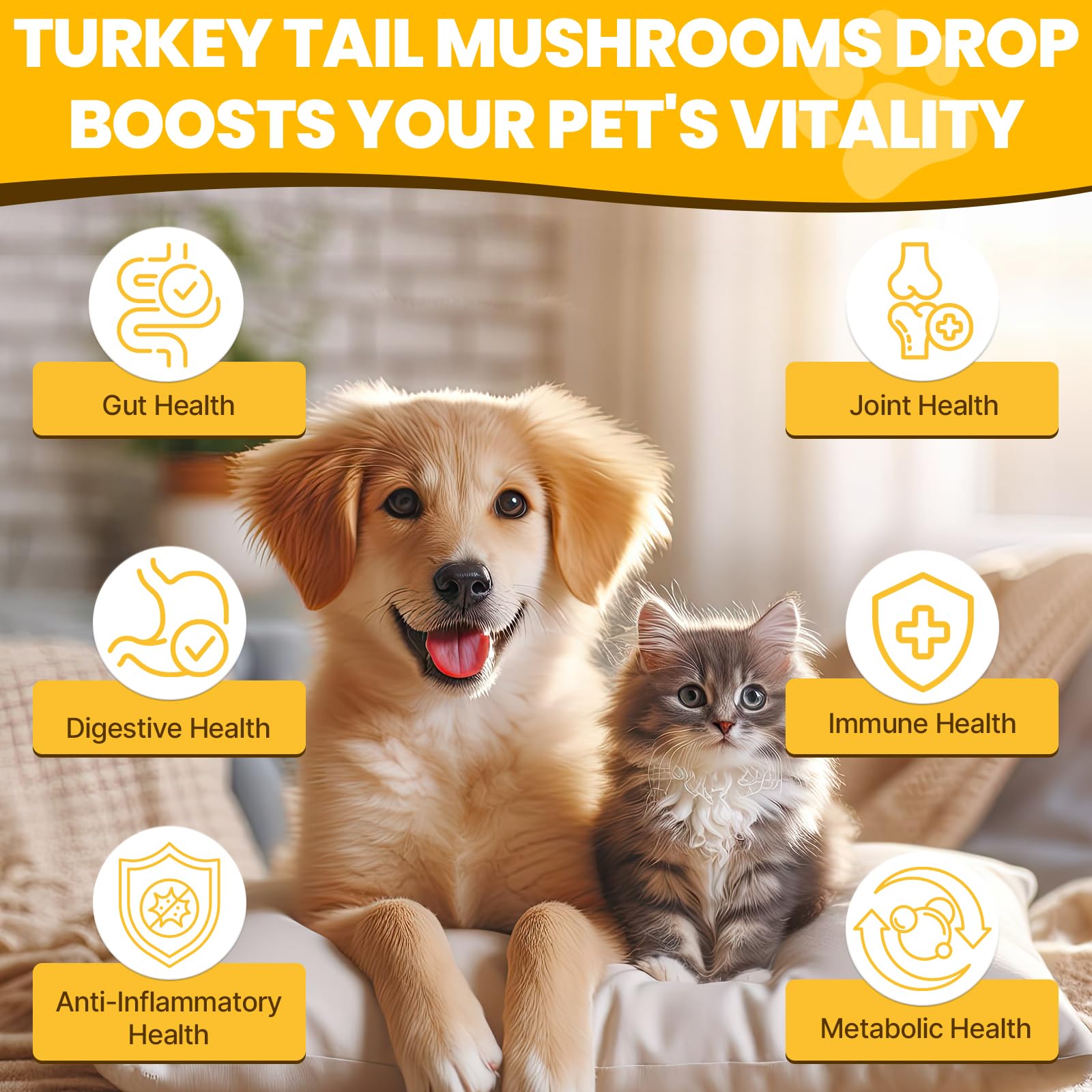Jazytiko Turkey Tail Dog Drop pipette enables precise dosing for digestive balance.