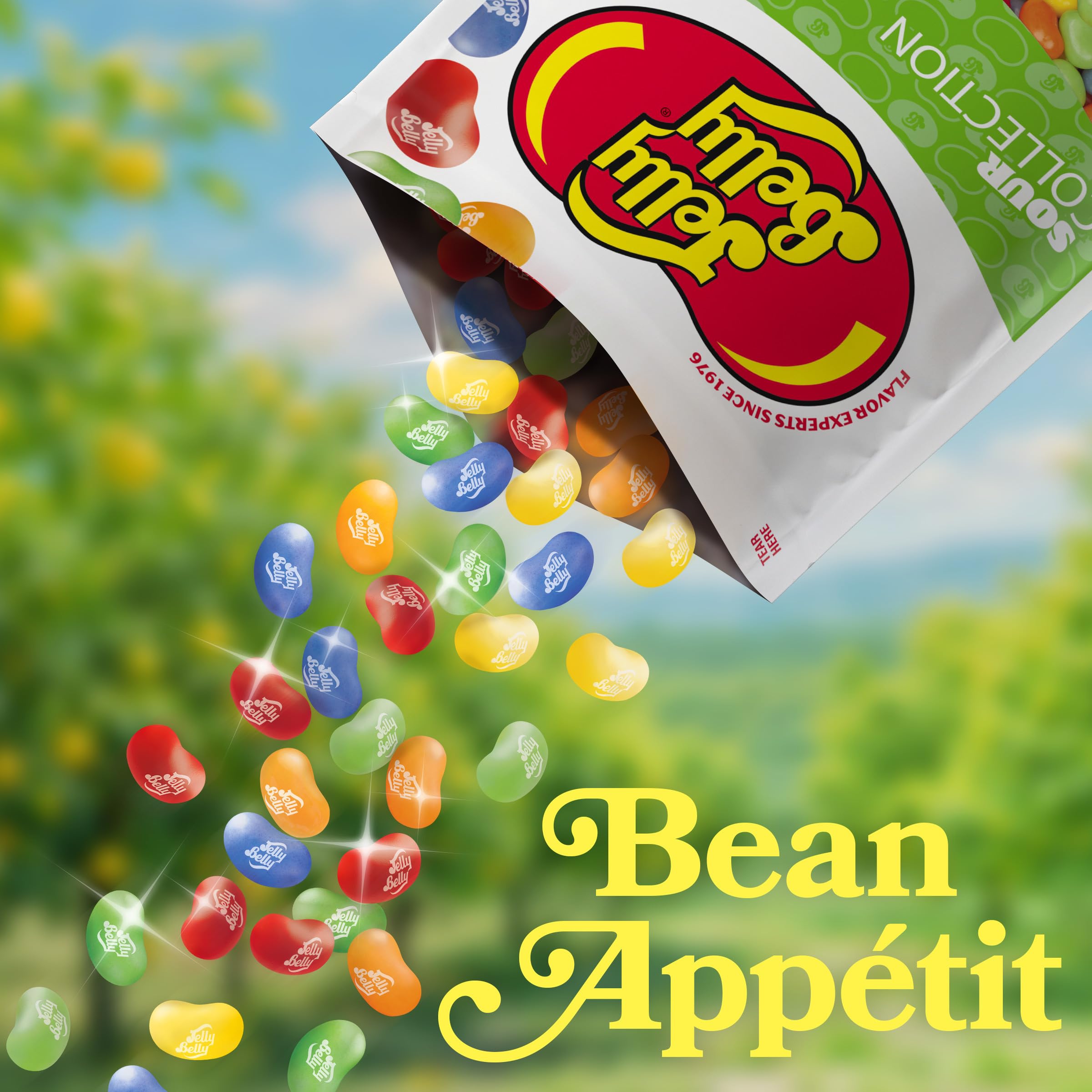 Jelly Belly Sour Collection 8 oz pouch shows official quality for gifting