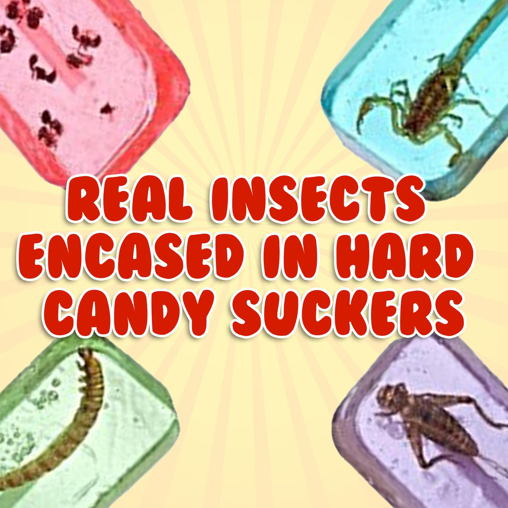 Jerky-n-Spice HotLix cricket lollipop, exotic flavor for curious palates