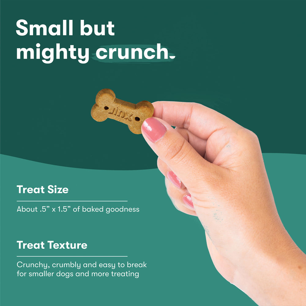 Jinx partnership with Chris Evans supports healthier dog nutrition.