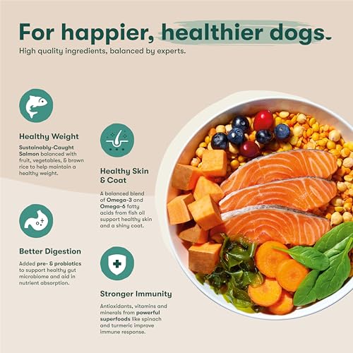 Jinx premium dry dog food carrot bag spots natural vitamins for healthy energy.