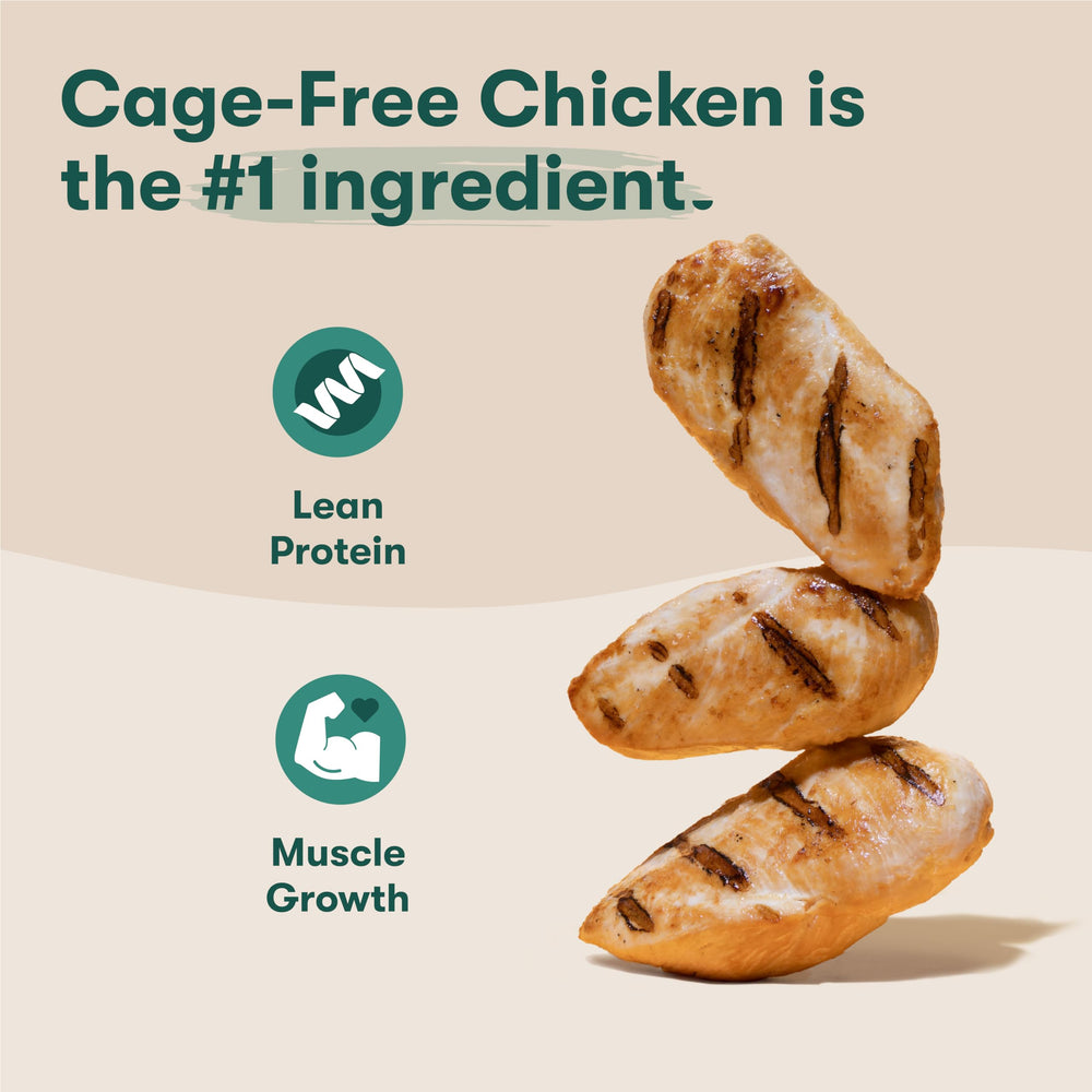 Jinx carrot bites add nutrients and texture to meals.