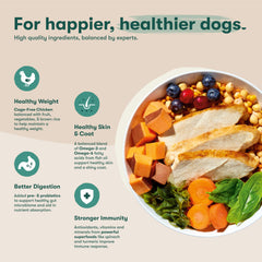 Jinx probiotics support digestive comfort with every bite.