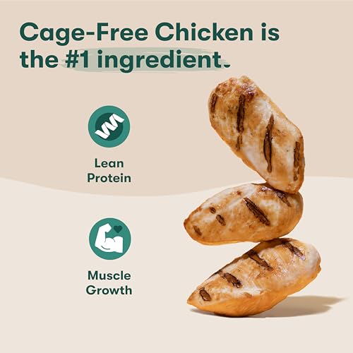Croquettes Jinx avec poulet premier ingrédient pour muscles en croissance.
