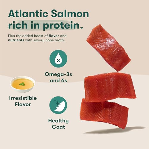 Jinx Salmon Grain Free Toppers six-pack packaging showcased.