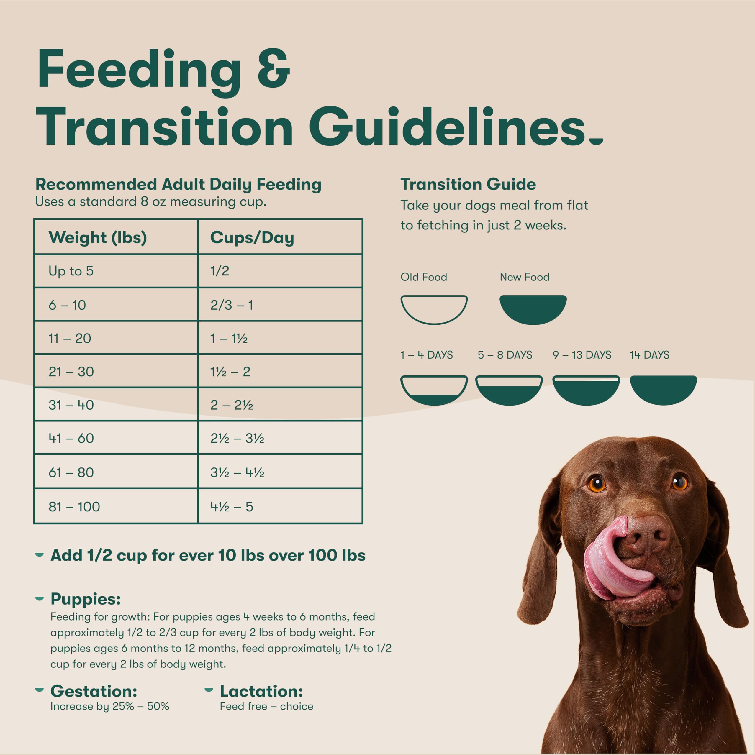 Idéal pour l’alimentation quotidienne des chiens de toutes tailles.