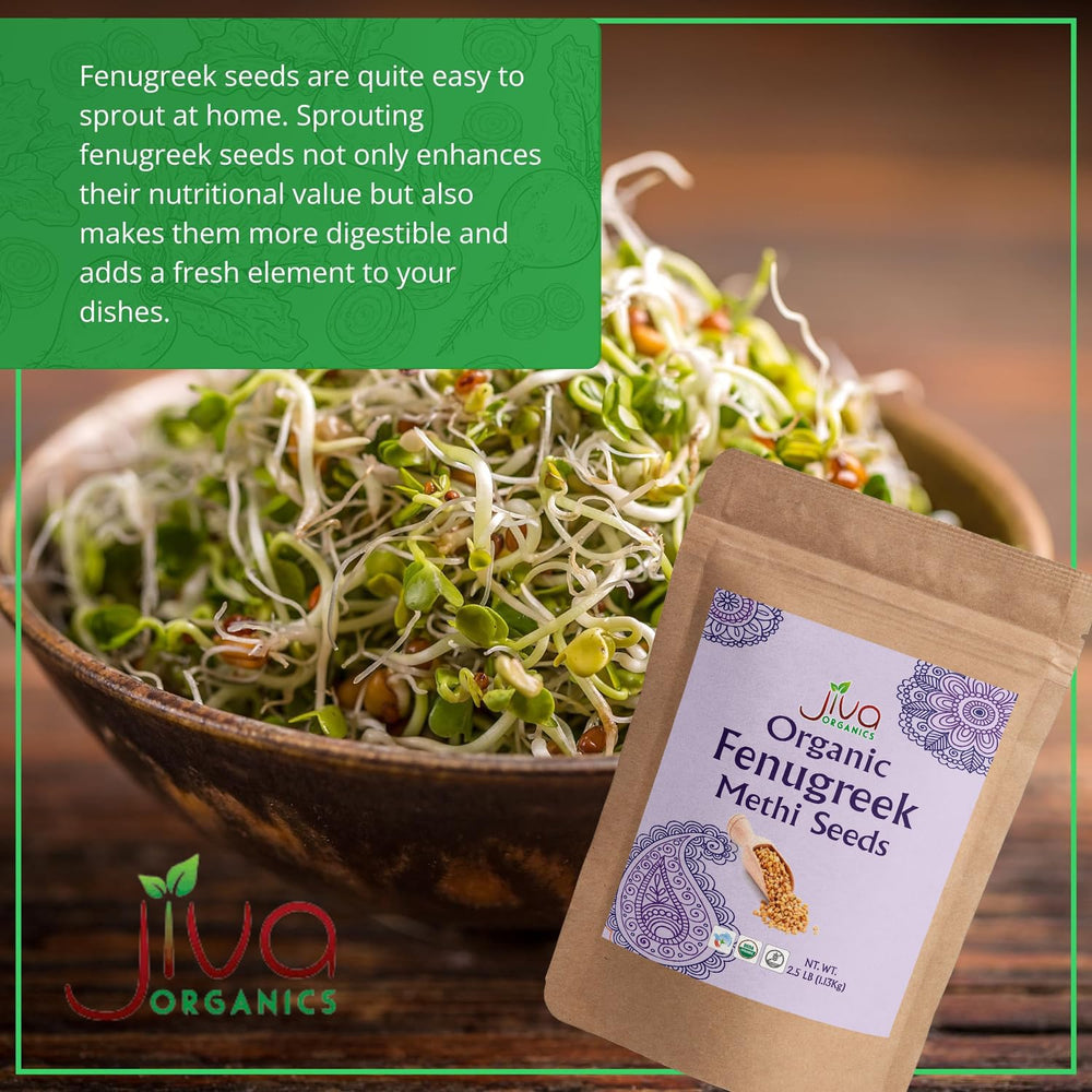 Gluten-free fenugreek seeds ideal for allergen-friendly spice mixes and seasoning blends