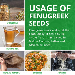 USDA Organic fenugreek seeds by Jiva Organics for clean, non-GMO pantry staple