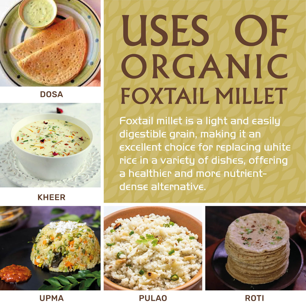 Close-up of Jiva Organics Foxtail Millet grains, highlighting protein and fiber.