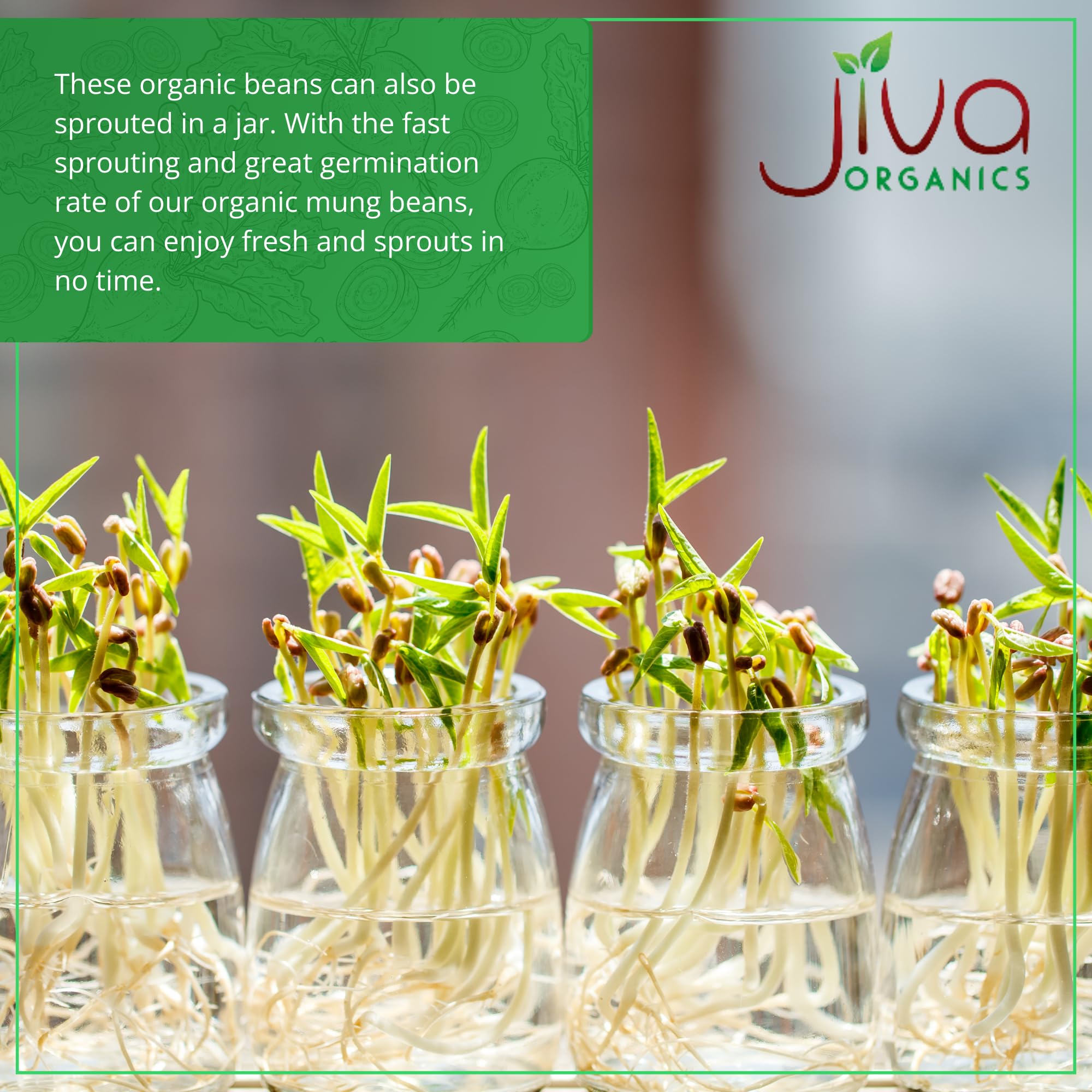 Jiva Organics mung beans bag open for pantry organization.